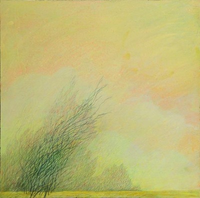 afternoon reflections